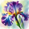 Diamond Painting Iris Violet et Bleu Aquarelle | Lé-Li