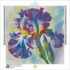 Diamond Painting Iris Violet et Bleu Aquarelle | Lé-Li